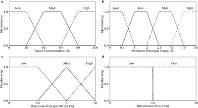 A novel strain-based bone-fracture healing algorithm is able to predict a range of healing outcomes